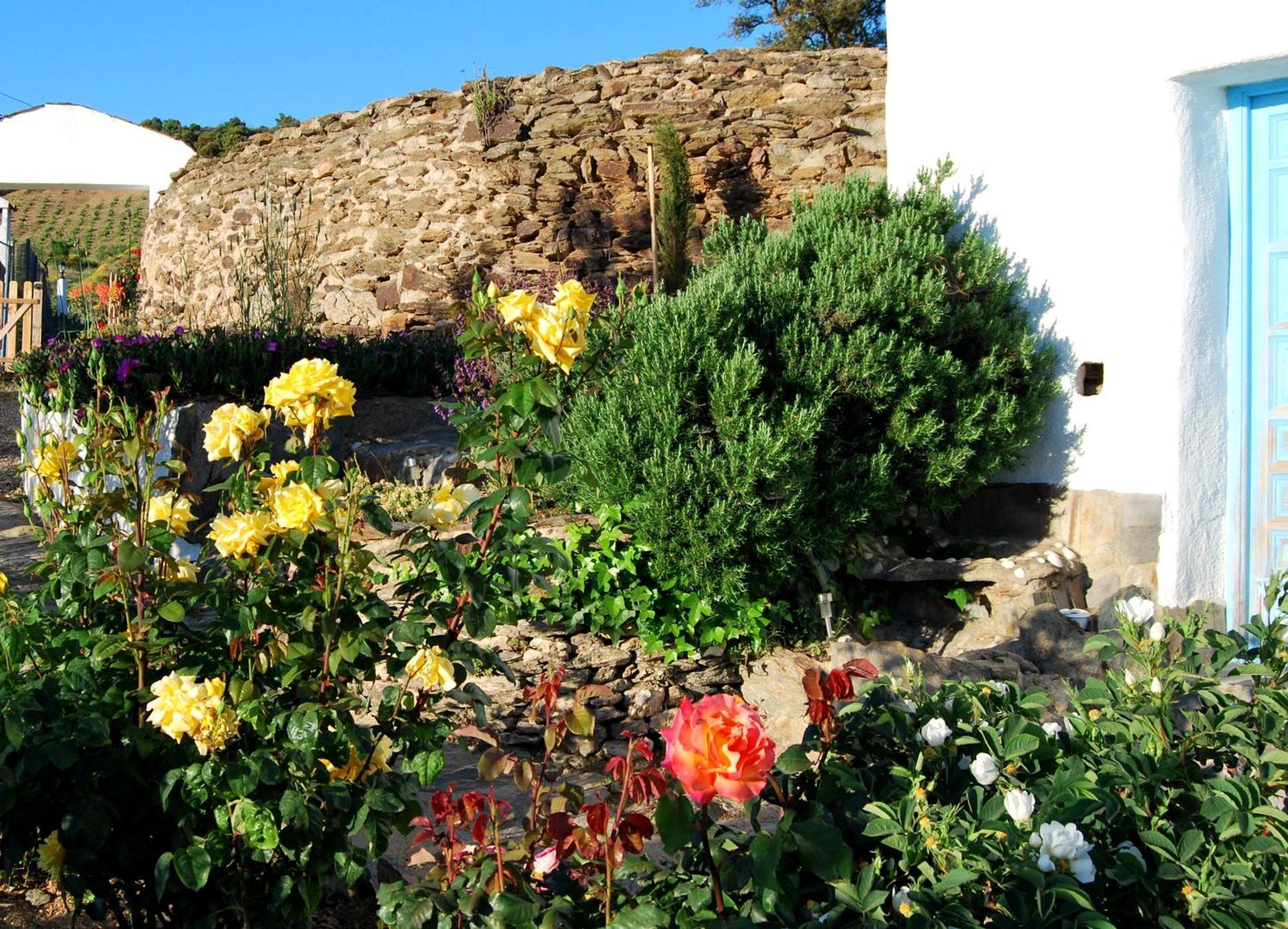 Cortijo Los Maximos Turon Exteriér fotografie