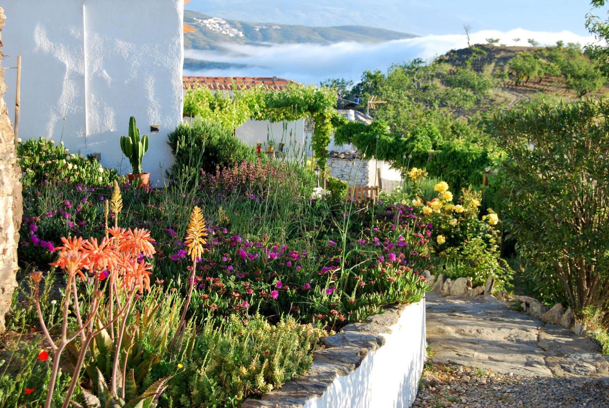 Cortijo Los Maximos Turon Exteriér fotografie