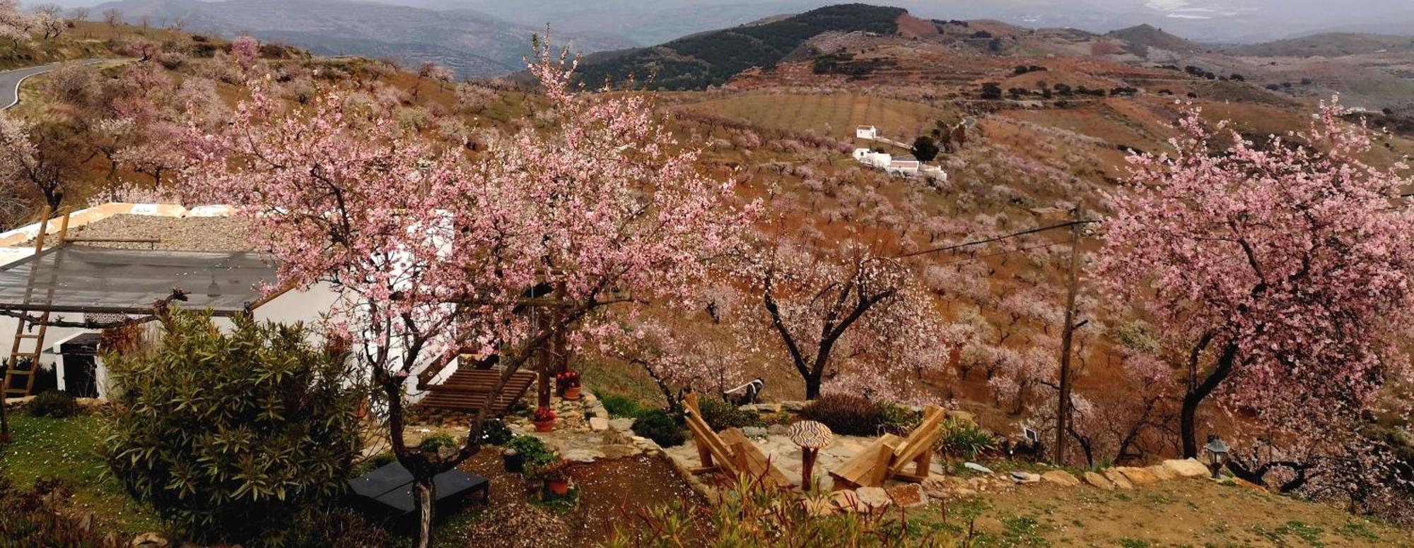 Cortijo Los Maximos Turon Exteriér fotografie