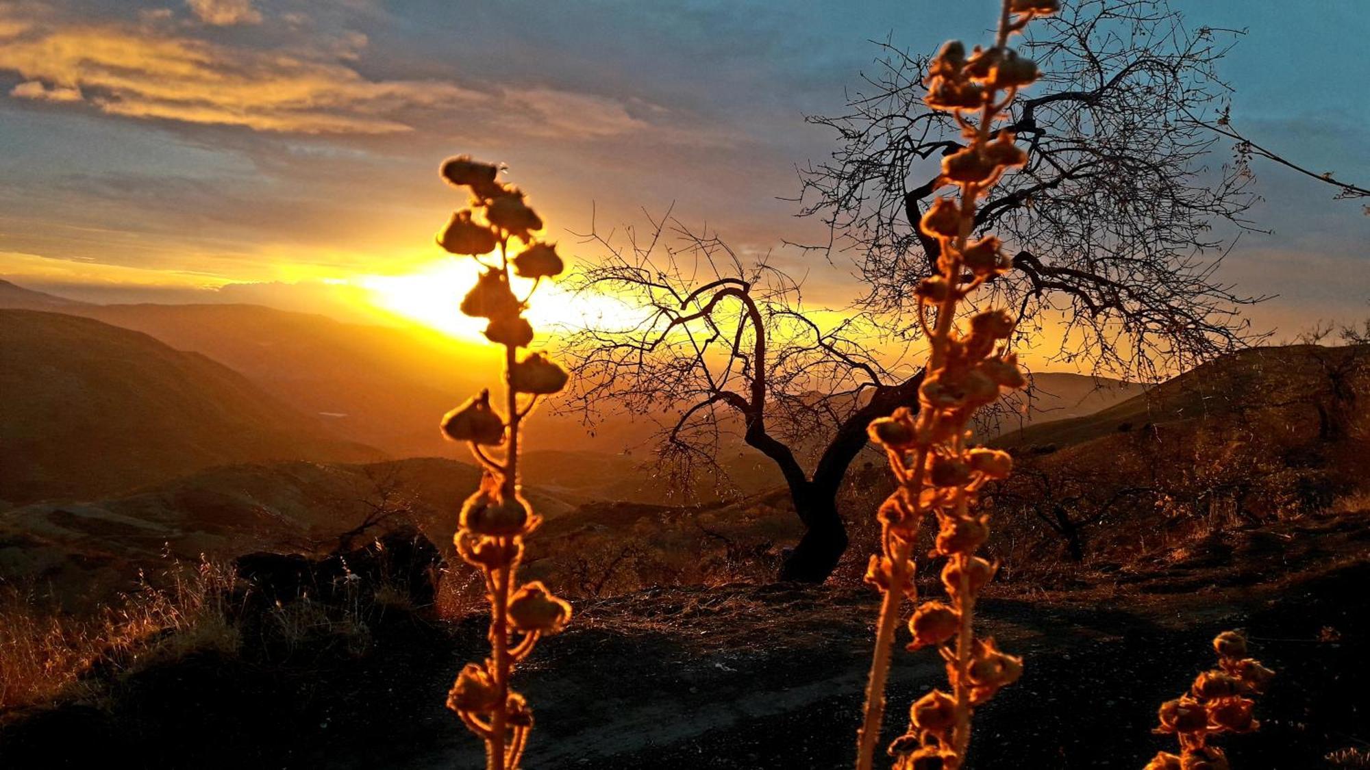 Cortijo Los Maximos Turon Exteriér fotografie