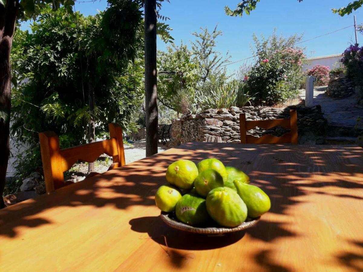Cortijo Los Maximos Turon Exteriér fotografie