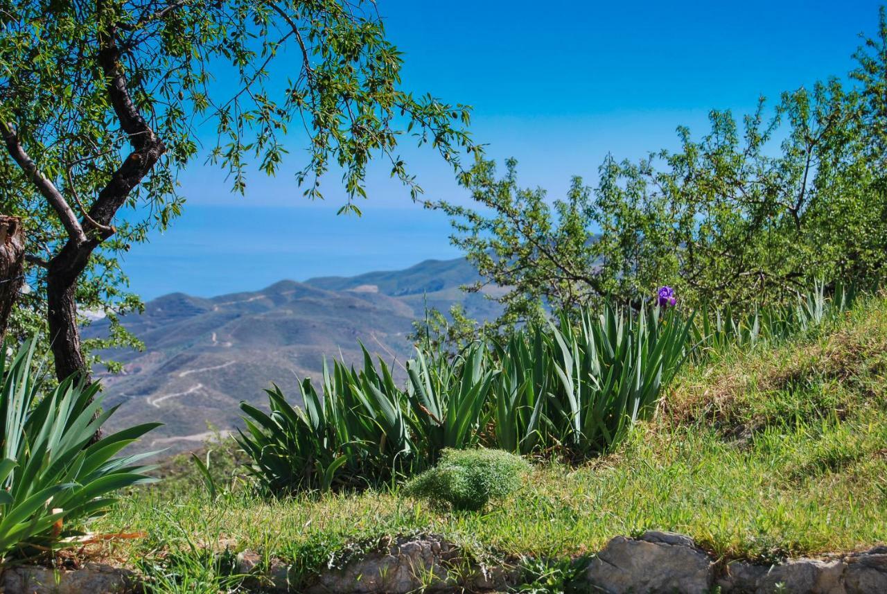 Cortijo Los Maximos Turon Exteriér fotografie